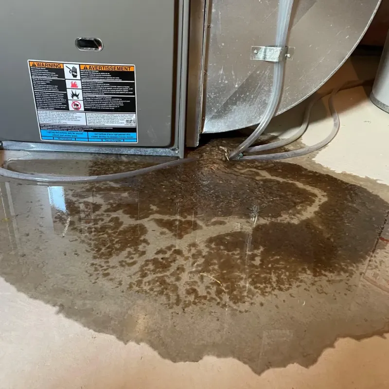 Appliance Leak Cleanup in Staples, MN